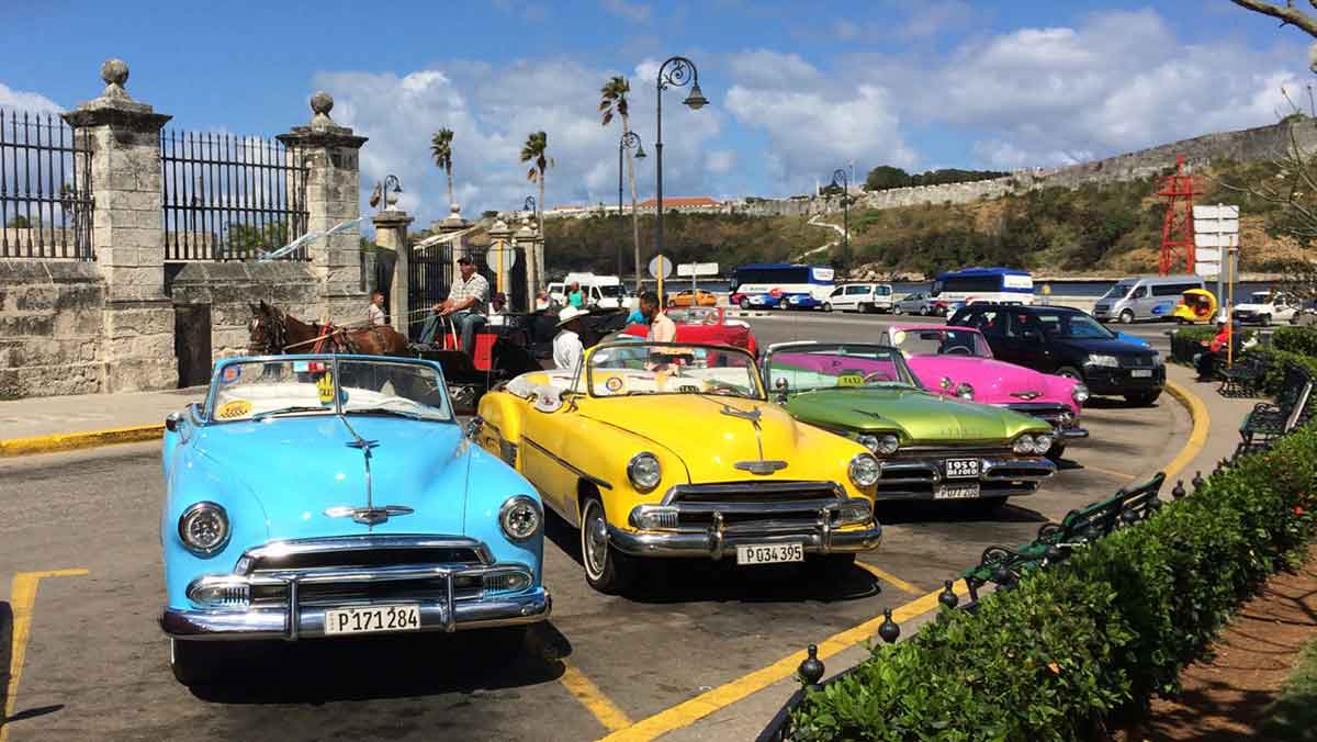 An assortment of vintage American cars